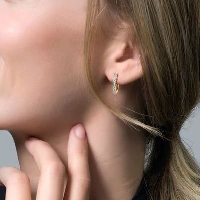 Blush oorbellen met Zirkonia