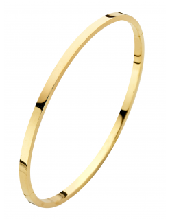 Fjory Bangelarmband met zilverenkern