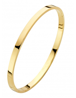 Fjory Bangle armband met zilverenkern