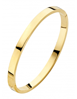 Fjory Bangle armband met zilverenkern