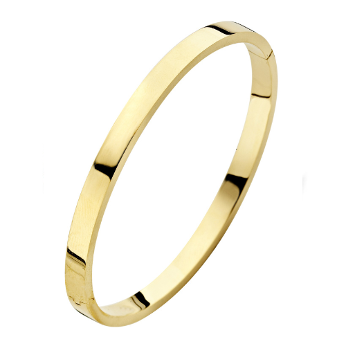 Fjory Bangle armband met zilverenkern