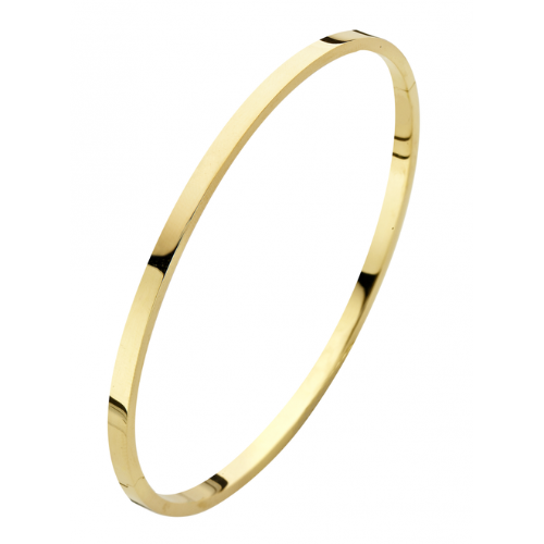 Fjory Bangelarmband met zilverenkern