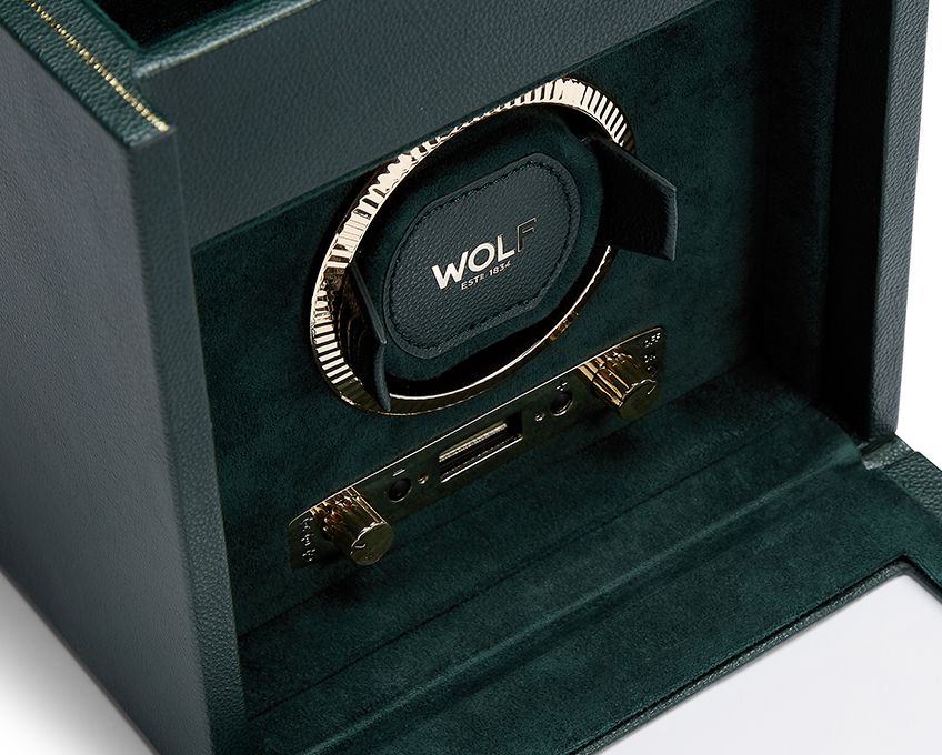 Wolf 1834 Watch winder